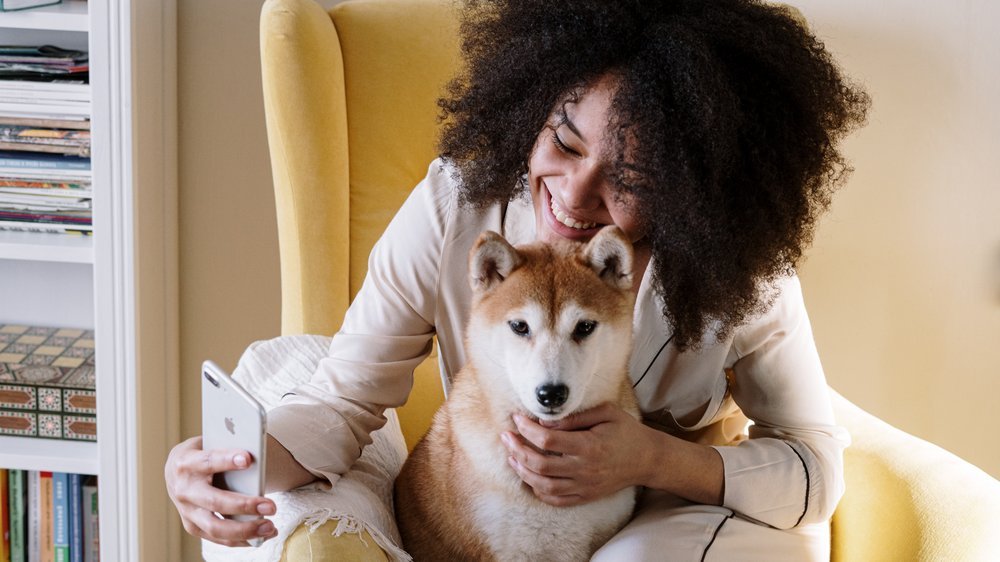 apfel für hunde