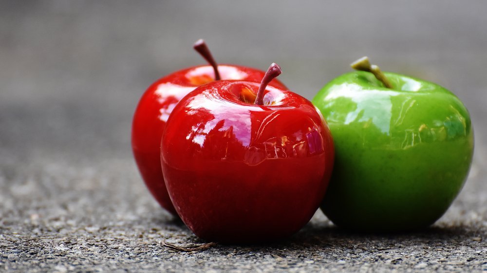 dürfen hunde äpfel mit schale essen