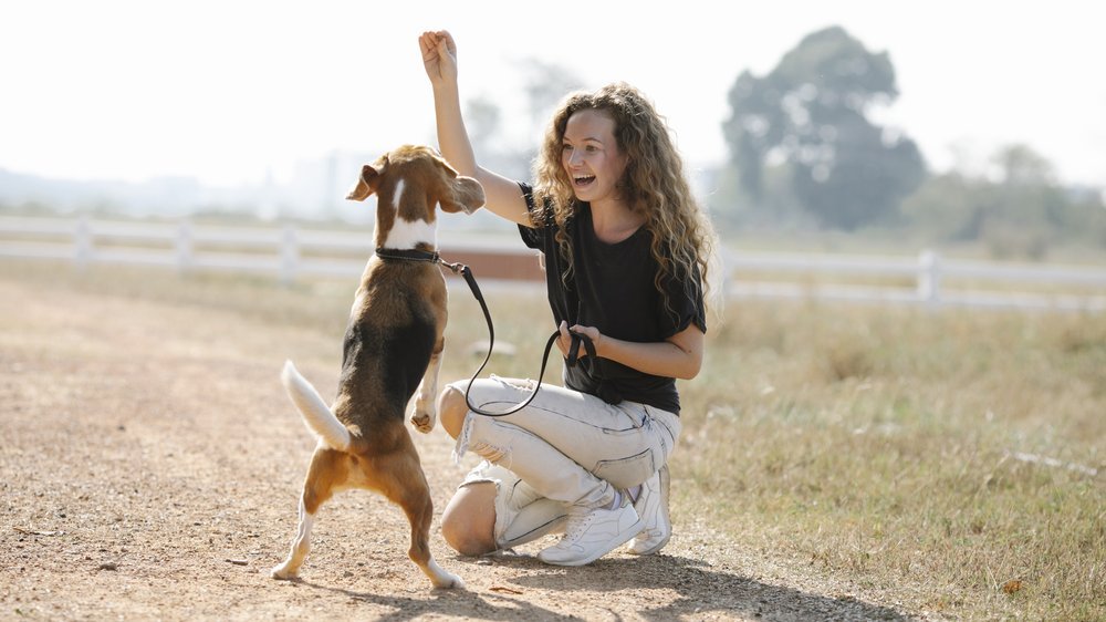 dürfen hunde kirschen essen