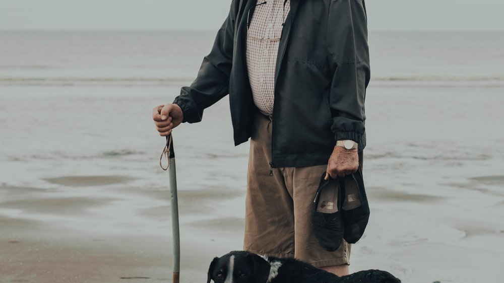 ferienwohnung norderney mit hund