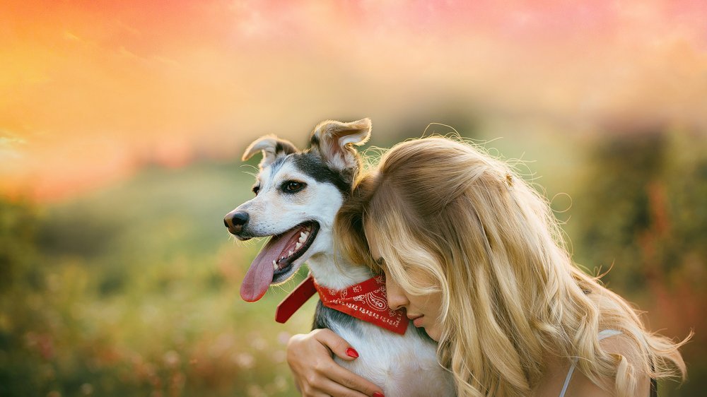 hund krallen schneiden ohne krallenschere