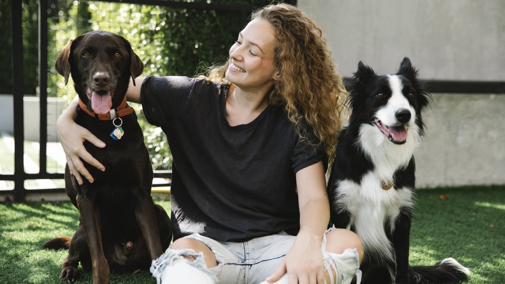 hund mit langen haaren