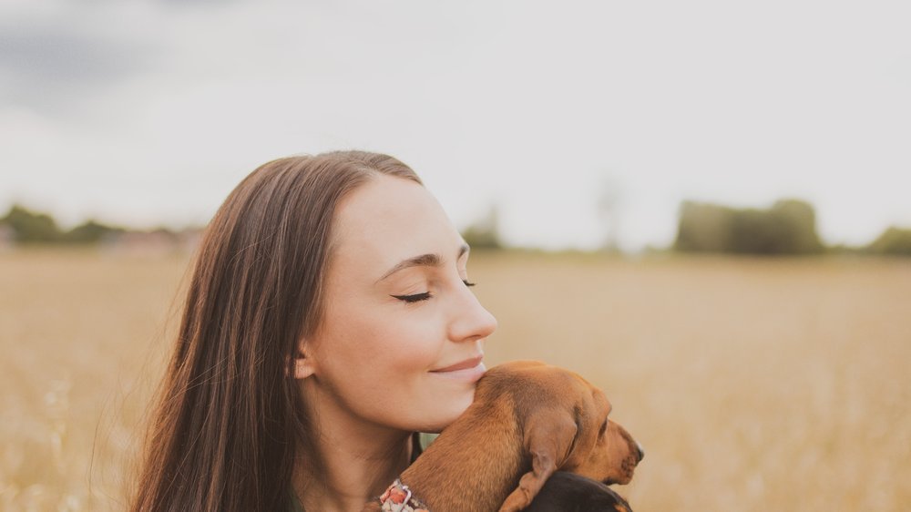 hund mit langen haaren