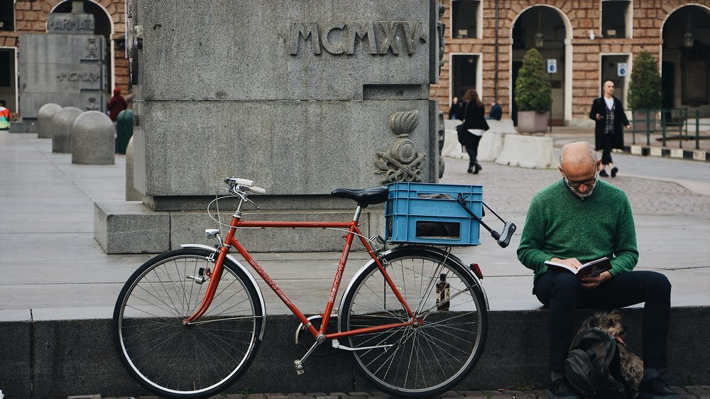 lastenfahrrad hund