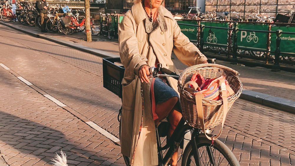 lastenfahrrad hund