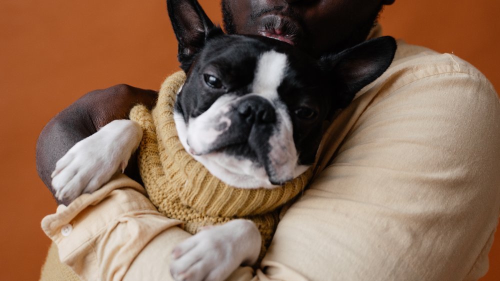 wie lange kann ein hund alleine bleiben